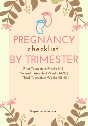 Pregnancy Checklist Final Cover